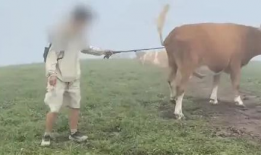 牛视频,揭秘短视频时代的魅力与挑战