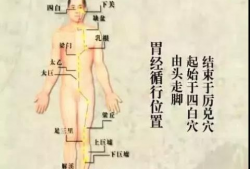 胃经敲打顺序视频,穴位按摩助您养生保健