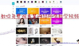 网页视频,一窥精彩瞬间